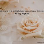 "La elegancia es la única belleza que nunca se desvanece." Audrey Hepburn