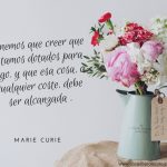 marie curie frases